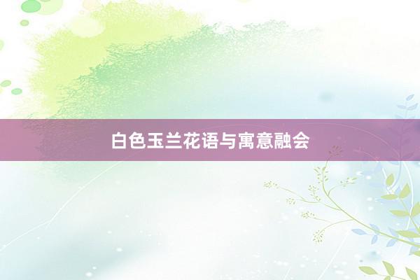 白色玉兰花语与寓意融会
