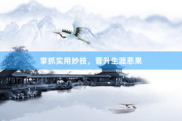掌抓实用妙技，晋升生涯恶果