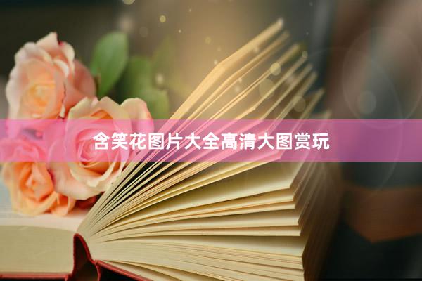 含笑花图片大全高清大图赏玩